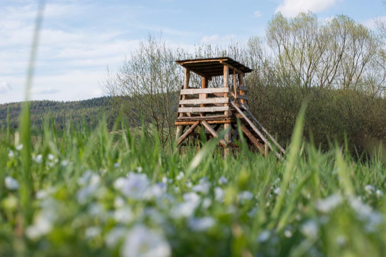 Gosciniec Pieciu Stawow 3* Устрики-Долішні